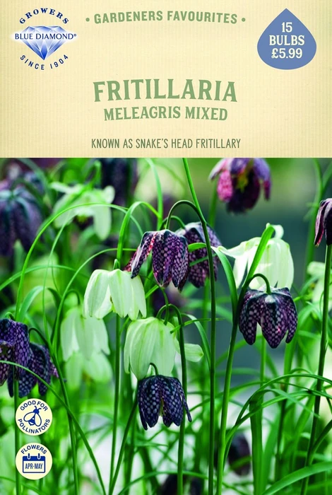 Fritillaria Meleagris Mixed Colours - image 1