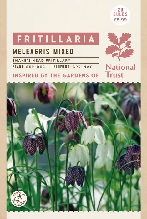 Fritillaria Meleagris Mixed Colours - image 2