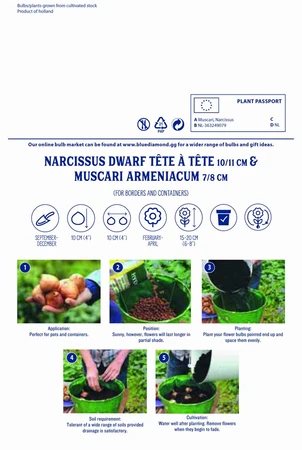 Spring Gallery - image 3