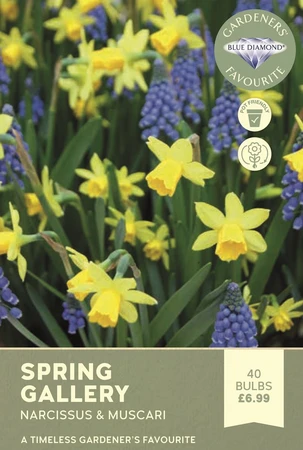 Spring Gallery