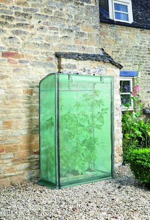 Tomato Grozone Cover - image 2