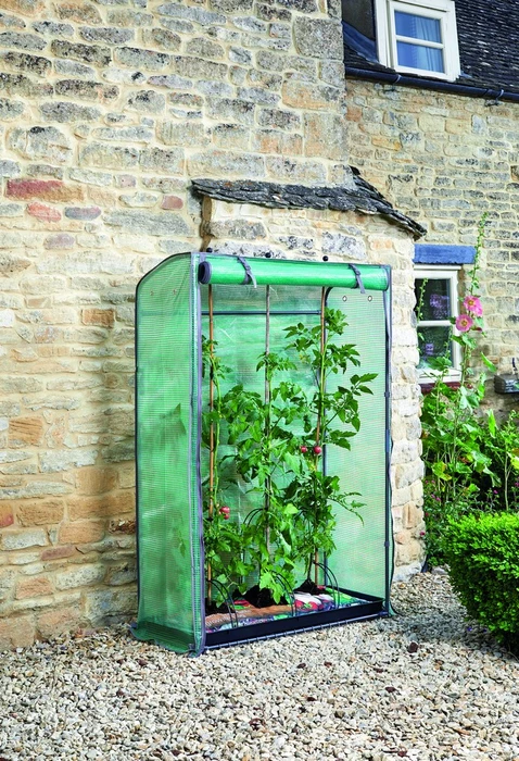 Tomato Grozone - image 4