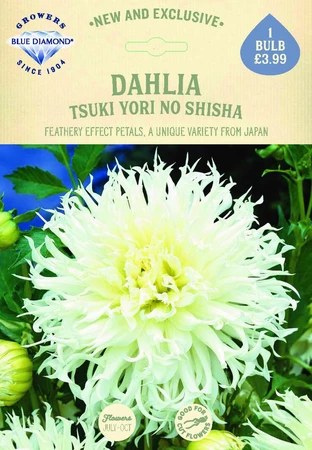 Dahlia Tsuki Yori No Shisha - image 2