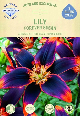 Lilium Forever Susan - image 2