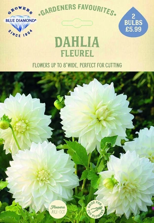 Dahlia Fleurel - image 2