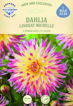 Dahlia Lindsay Michelle - image 2