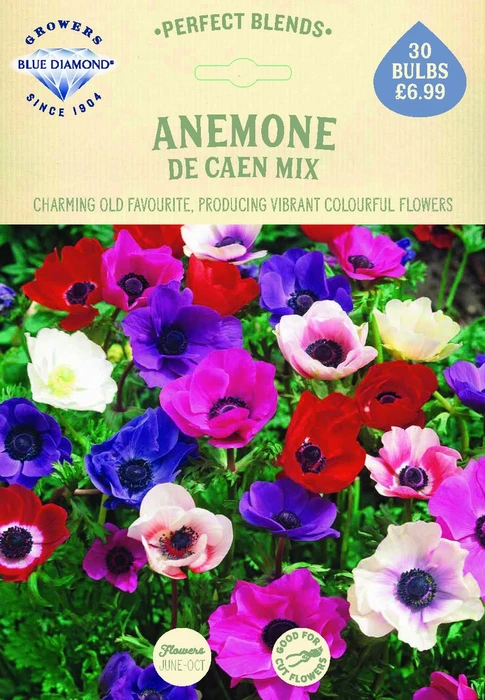 Anemone De Caen Mix - image 2