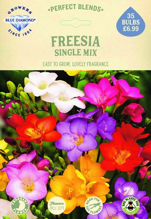 Freesia Single Mix - image 2