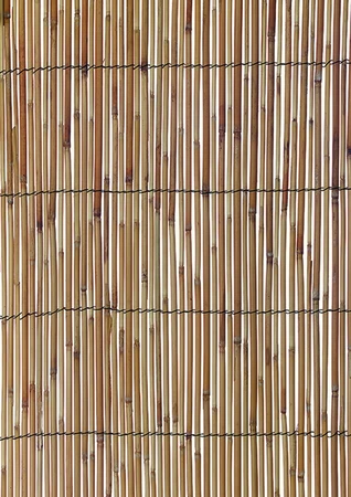 Reed Screen 1.2X3.8M