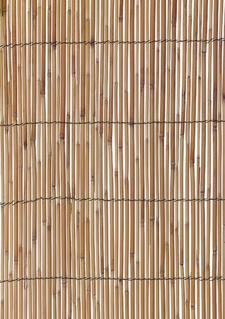 Reed Screen 1.8X3.8M