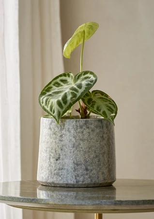 Thea Pot Grey 24CM - image 2