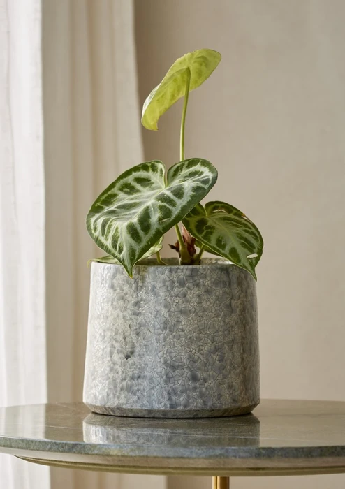 Thea Pot Grey 24CM - image 2