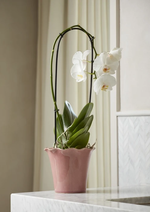 Cora Rose Pot 12CM - image 2