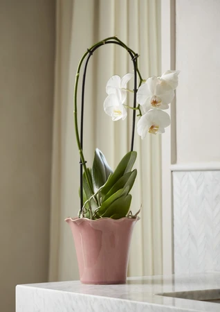 Cora Rose Pot 12CM - image 2