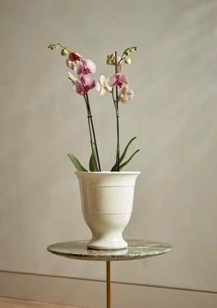 Marta Urn White 25CM - image 2