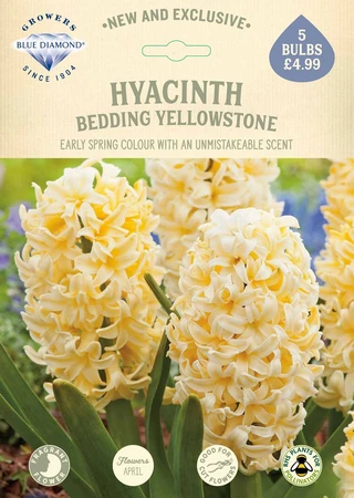 Hyacinth Bedding Yellowstone NE - image 2