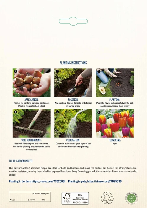 Tulip Garden Mixed PBR - image 4