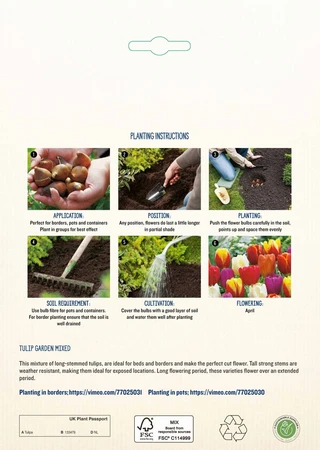 Tulip Garden Mixed PBR - image 4