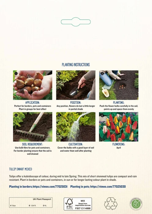 Tulip Dwarf Mixed PBR - image 4