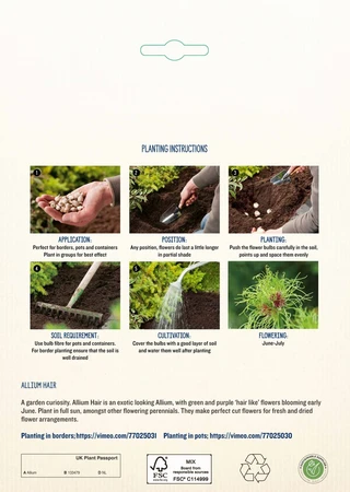 Allium Hair NE - image 4