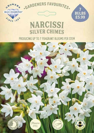 Narcissi Silver Chimes GF - image 2