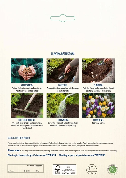 Crocus Species Mixed PBR - image 4