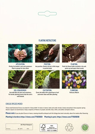 Crocus Species Mixed PBR - image 4