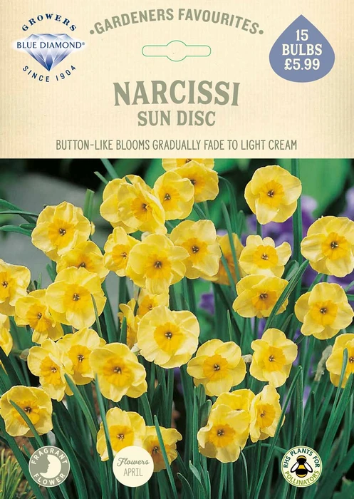 Narcissi Sun Disc GF - image 2