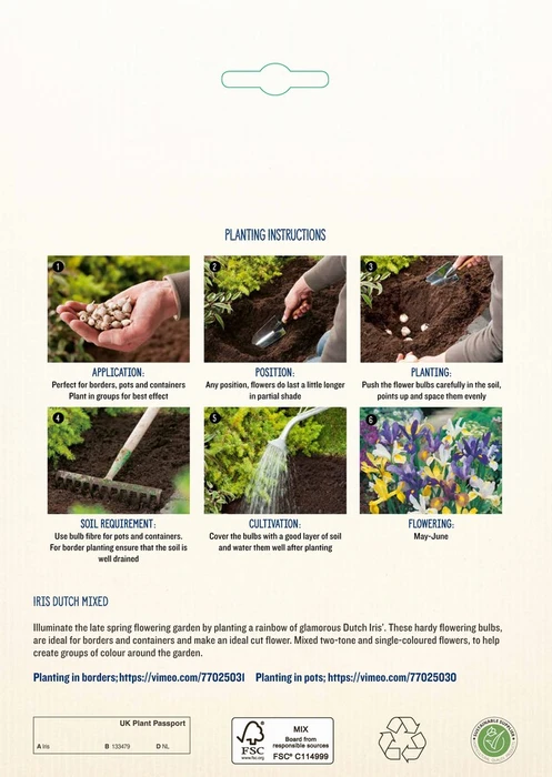 Iris Dutch Mixed PBR - image 4