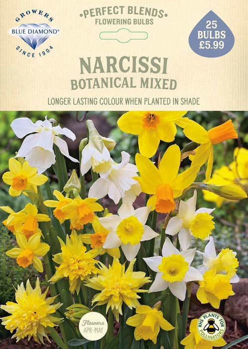 Daffodil Botanical Mixed PBR - image 2