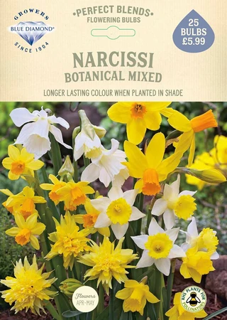 Daffodil Botanical Mixed PBR - image 2