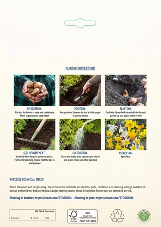 Daffodil Botanical Mixed PBR - image 4