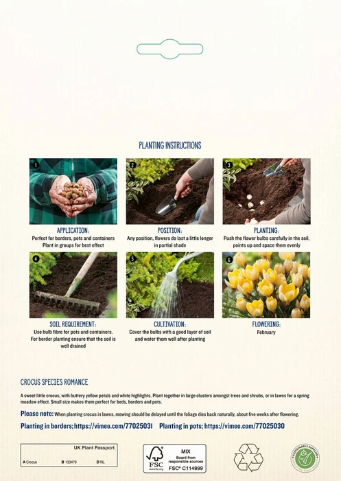 Crocus Species Romance GF - image 4