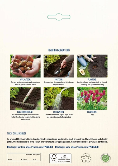 Tulip Dolls Minuet GF - image 4