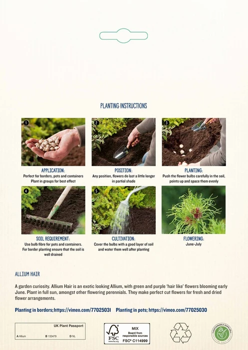 Allium Hair NE - image 4