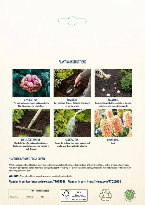 Hyacinth Bedding Gipsy Queen NE - image 4