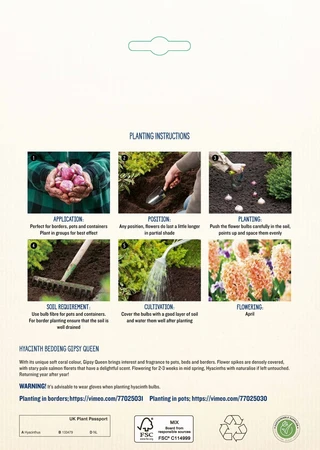 Hyacinth Bedding Gipsy Queen NE - image 4