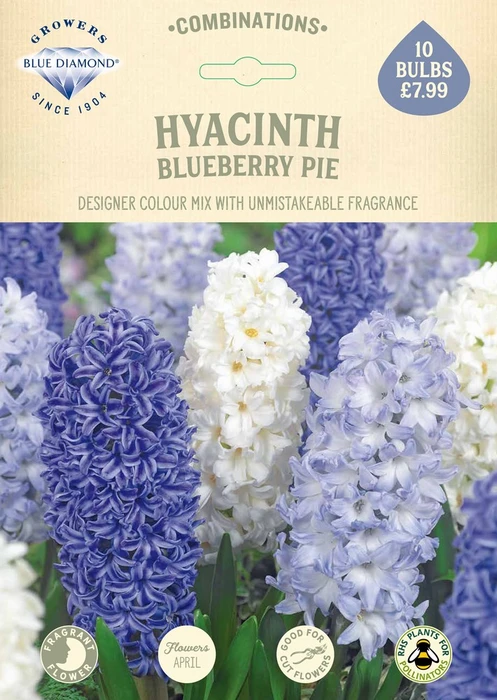 Hyacinth Blueberry Pie CR - image 2