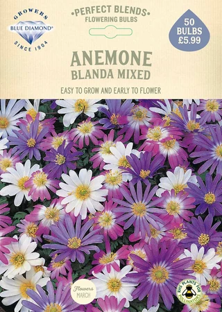 Anemone Blanda Mixed PBR - image 2