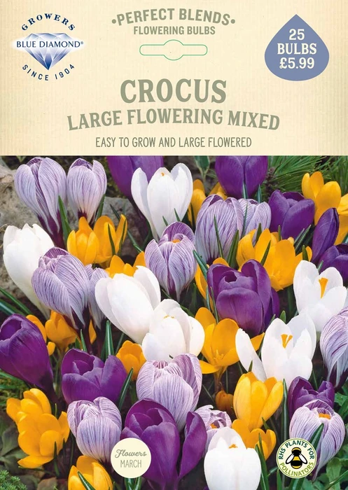 Crocus Mixed PBR - image 2