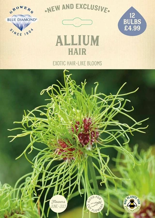Allium Hair NE - image 2