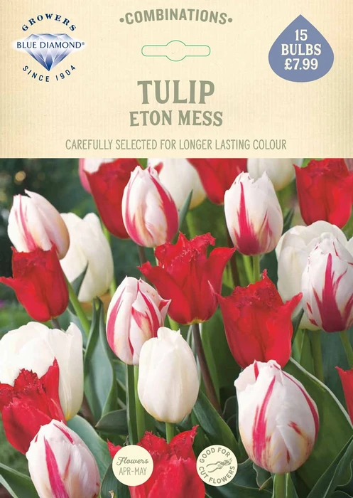 Tulip Eton Mess CR - image 2