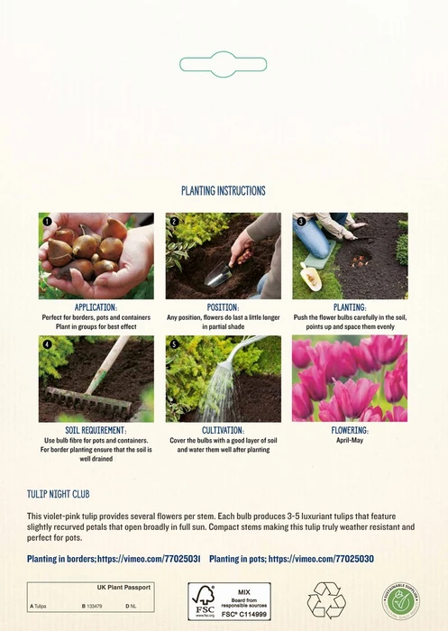 Tulip Night Club NE - image 4