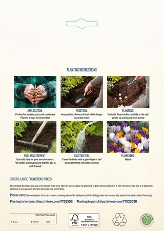 Crocus Mixed PBR - image 4