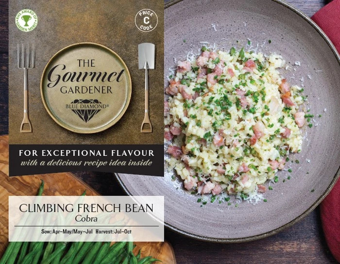 CLIMBING FRENCH BEAN Cobra