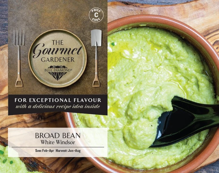 BROAD BEAN White Windsor