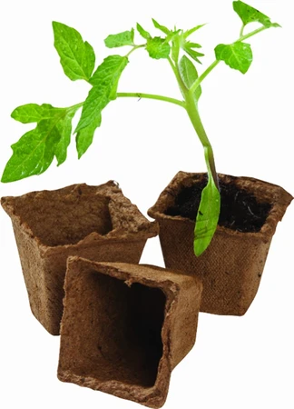 Square Fibre Pots Extra Value Pack 80Pk - image 1