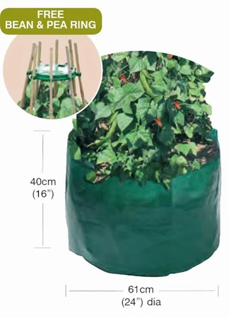 Bean And Pea Bag+Free Bean And Pea Ring - image 3