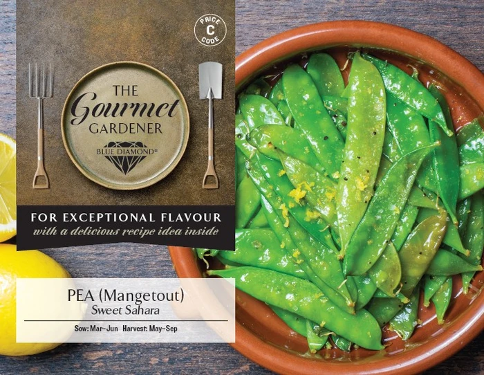 PEA Mangetout Sweet Sahara