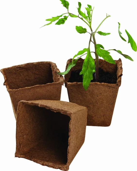Square Fibre Pots 12Pk - image 1